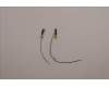 Lenovo 5A31F75897 ANTENNA KIT_WLAN Antenna_Amphenol