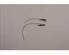 Lenovo 5A31F75897 ANTENNA KIT_WLAN Antenna_Amphenol