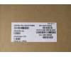 Lenovo 5A31F75899 ANTENNA KIT_WLAN Antenna_HongBo