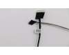 Lenovo 5C10G15031 Camera Cable C N20
