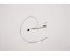 Lenovo 5C10S29996 CABLE LCD Cable W 81VS