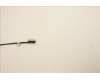Lenovo 5C11C12619 CABLE FRU CABLE CABLE, eDP cable, Talos