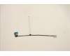 Lenovo 5C11C12619 CABLE FRU CABLE CABLE, eDP cable, Talos