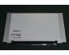 5D10P96009 Lenovo DISPLAY LG LP140WF8-SPP1 FHDI AG S NB