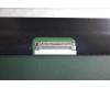 5D10P96009 Lenovo DISPLAY LG LP140WF8-SPP1 FHDI AG S NB