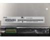 Lenovo 5D10S39584 DISPLAY LCD Module C 81T9 FHD