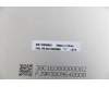 Lenovo 5D10S39669 DISPLAY LCD Module L82FX W/glue*0.2g