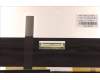 Lenovo 5D10S39791 DISPLAY LCD MODULE W 82R7 2.8K OLED LB+S