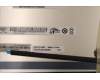 Lenovo 5D10S39867 DISPLAY LCDMODULEL82QF w/strip cover SG