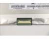 5D11C18140 Lenovo DISPLAY FRU IN N140HCA-EAC C6 FHDI AG S