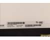 Lenovo 5D11D03909 DISPLAY FRU HKC MB116AN01-2 11.6 HD