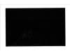Lenovo 5D11P79784 DISPLAY INX N160JCA-EEM C2 16.0 WUX