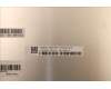 Lenovo 5M11H26715 MECH_ASM MT MOD ASM_IR_Coretronic+Laibao