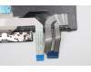 Lenovo 5N20V43891 NB_KYB CMFL-CS20,BK-NBL,LTN,TUR