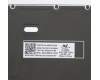 5N20Z74789 Lenovo NB_KYB CS20 P NM KBD CHY,BL,BK,BRL
