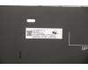 Lenovo 5N20Z74875 NB_KYB CS20 P NM KBD LTN,BL,BK,ITA