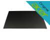 Acer UT241Y original IPS display (1920x1080) matt 75Hz
