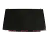 Alienware 17 R4 (R4-4315) IPS display FHD (1920x1080) matt 60Hz (30-Pin eDP)