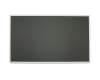 Alternative for Lenovo 0A66613 TN display (1366x768) matt 60Hz