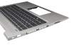Keyboard incl. topcase DE (german) black/silver with backlight original suitable for HP ProBook 445R G6