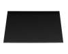 Lenovo ThinkPad P16s Gen 1 (21CK/21CL) original IPS display (1920x1200) matt 60Hz (30 Pin)