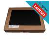 Lenovo ThinkPad P16v G2 (21KX/21KY) original IPS display (1920x1200) matt 60Hz (30 Pin)